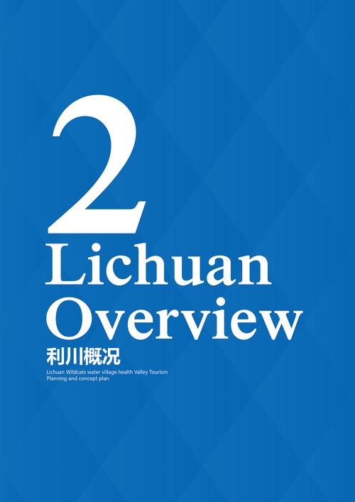 旅游项目策划 从创意到落地的开发咨询与实践指南